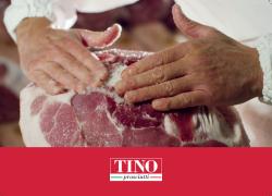 Catalogo Tino Prosciutti